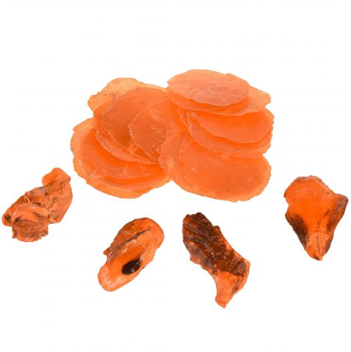 Mejillones ostra capiz en rodajas en red naranja 3,5–9,5cm 2ud