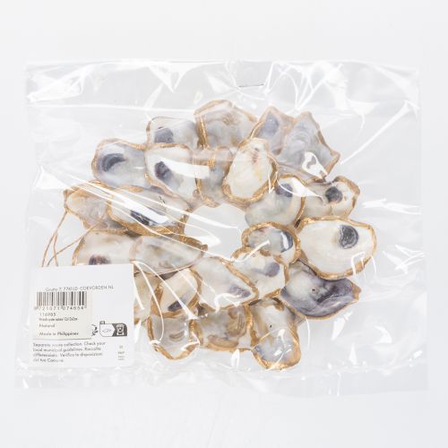 Artículo Corona de ostras con decoración de conchas, accesorio marítimo para el hogar, decoración de pared natural, 12 cm