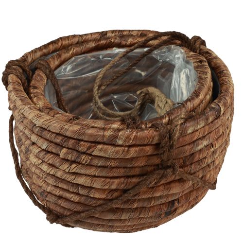 Artículo Cesta para colgar jacinto de agua marrón 25/31cm juego de 2