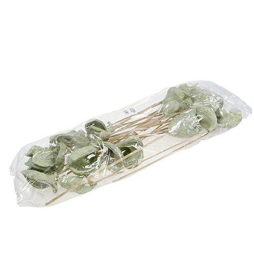 Artículo Badam en palo decoración natural verde blanco lavado 25 piezas