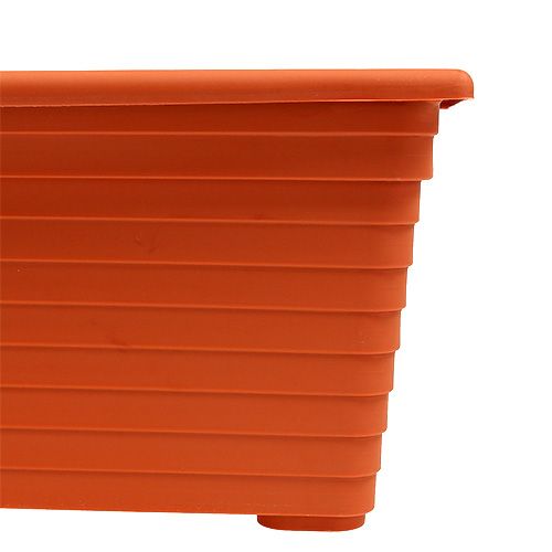 Floristik24 Caja de balcón &quot;Nowa&quot; terracota 51cm x 21cm, 1ud