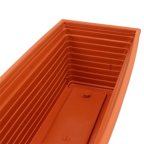 Floristik24 Caja de balcón &quot;Nowa&quot; terracota 51cm x 21cm, 1ud