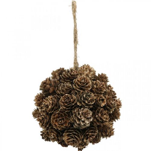 Floristik24 Decoración colgante cono de alerce conos para colgar naturaleza Ø10cm