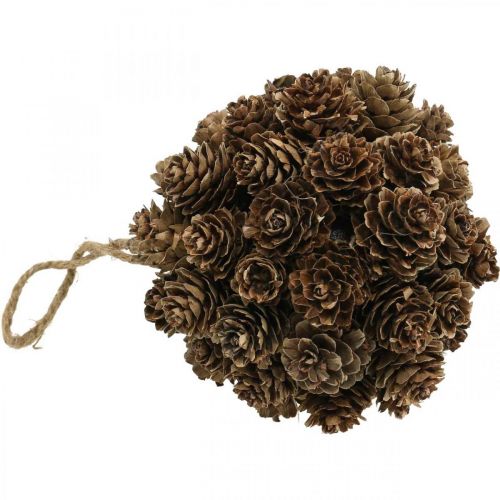 Artículo Decoración colgante cono de alerce conos para colgar naturaleza Ø10cm