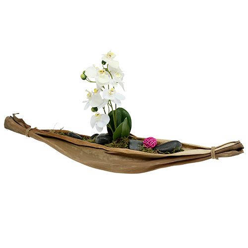 Floristik24 Cuenco hoja de plátano 40-45cm natural 1 pieza