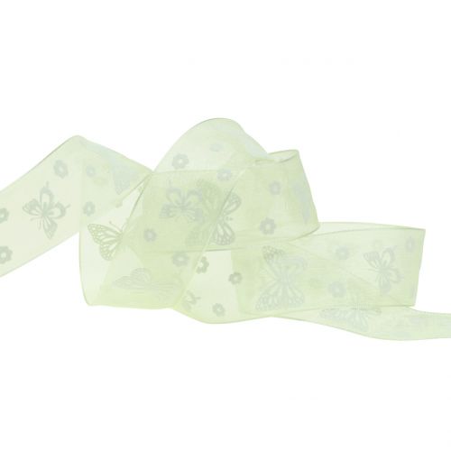 Floristik24 Cinta Organza Mariposa Menta 25mm 20m