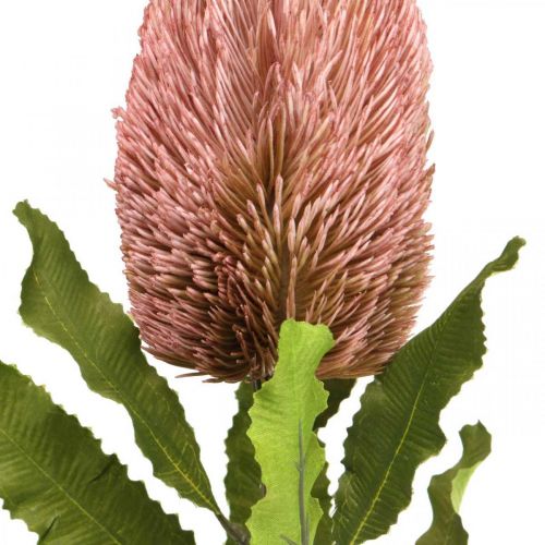 Artículo Flor artificial Banksia rosa otoño decoración floristería conmemorativa 64cm