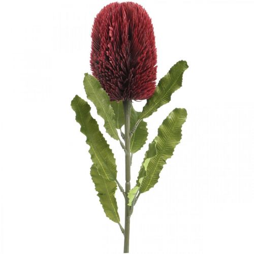 Artículo Flor Artificial Banksia Rojo Borgoña Artificial Exotics 64cm