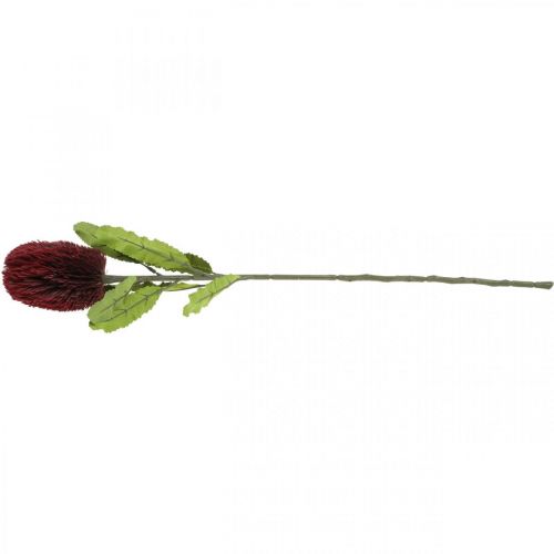 Artículo Flor Artificial Banksia Rojo Borgoña Artificial Exotics 64cm