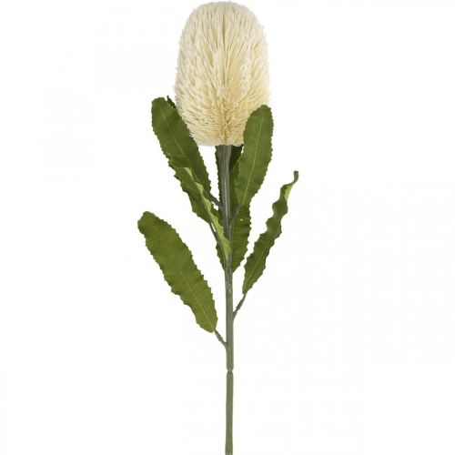 Artículo Flores Artificiales Banksia Crema Blanca Artificiales Exóticas 64cm