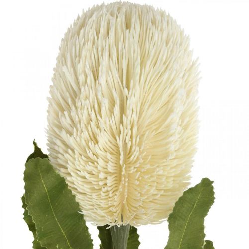 Artículo Flores Artificiales Banksia Crema Blanca Artificiales Exóticas 64cm