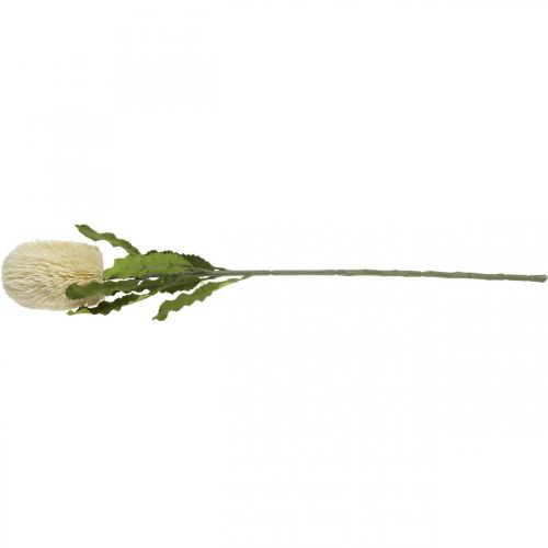 Artículo Flores Artificiales Banksia Crema Blanca Artificiales Exóticas 64cm