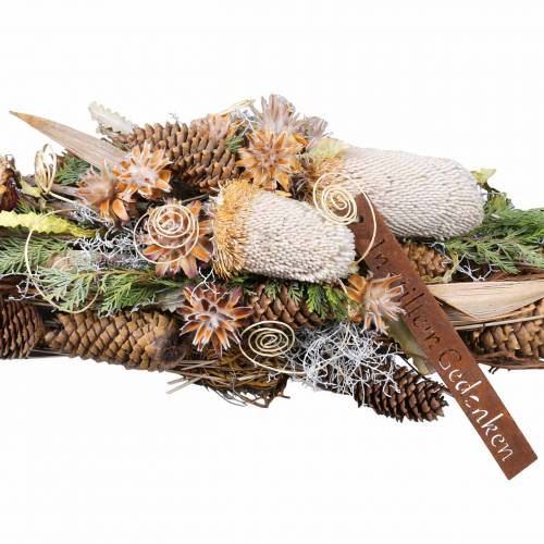 Floristik24 Banksia Hookerana natural 7uds