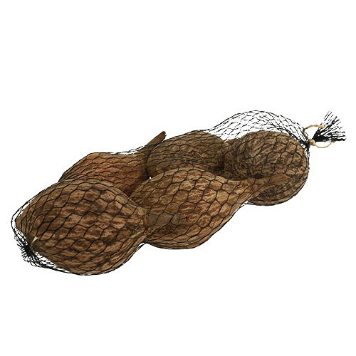 Floristik24 Fruta baobab pelada 15cm - 20cm natural 5uds