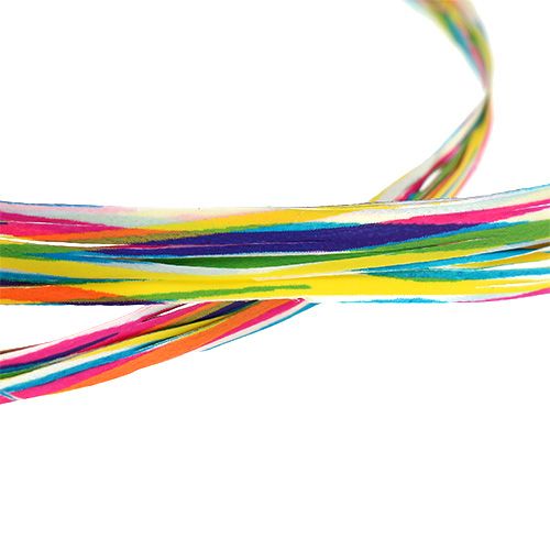 Floristik24 Bast como Cinta de regalo para la decoración colorido 200m