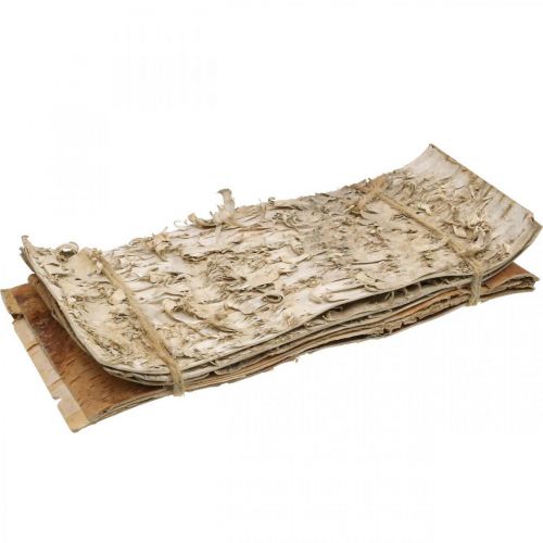 Floristik24 Corteza de árbol tiras de corteza decorativas corteza de abedul natural 30×12cm 6 piezas