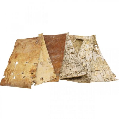Floristik24 Corteza de árbol tiras de corteza decorativas corteza de abedul natural 30×12cm 6 piezas