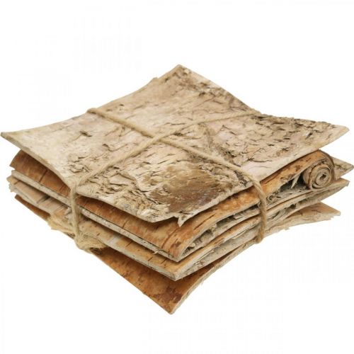 Floristik24 Corteza de árbol corteza decorativa corteza de abedul cuadrada natural 10×10cm 6 piezas