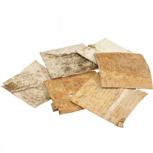 Floristik24 Corteza de árbol corteza decorativa corteza de abedul cuadrada natural 10×10cm 6 piezas