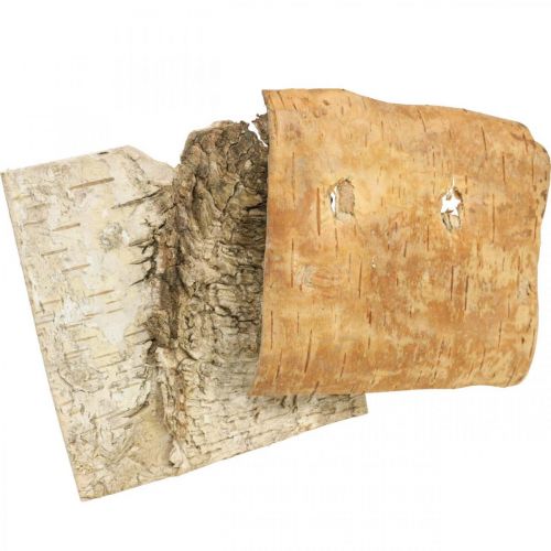 Corteza de árbol corteza decorativa corteza de abedul cuadrada naturaleza 10×10cm 6pcs