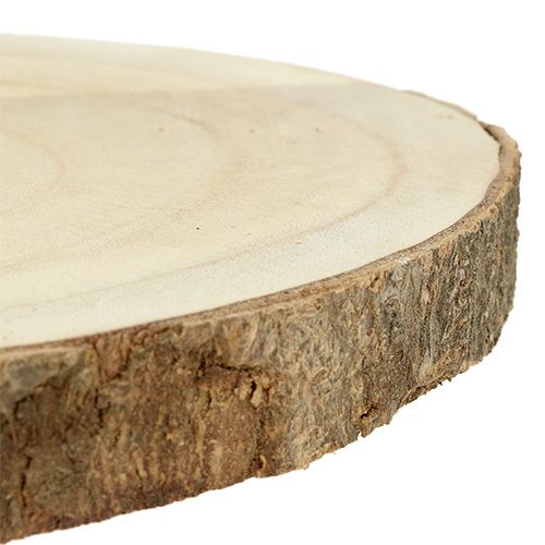Artículo Rodaja de árbol naturaleza Ø20cm - 30cm