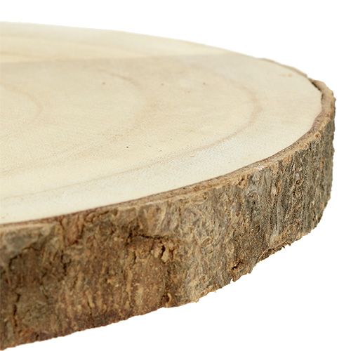 Floristik24 Rodaja de árbol naturaleza Ø20cm - 30cm