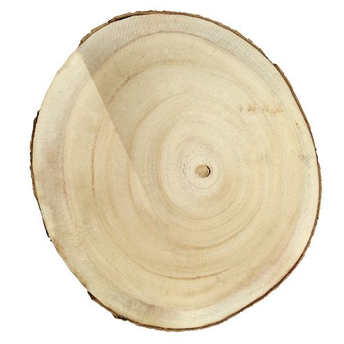 Floristik24 Rodaja de árbol naturaleza Ø20cm - 30cm