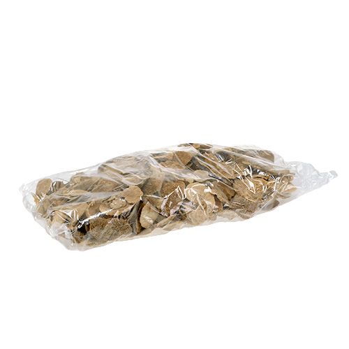 Floristik24 Esponja arbol naturaleza 2kg
