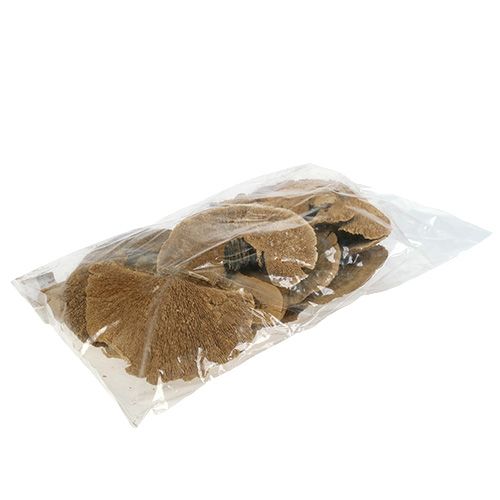 Floristik24 Árbol esponja naturaleza 500g