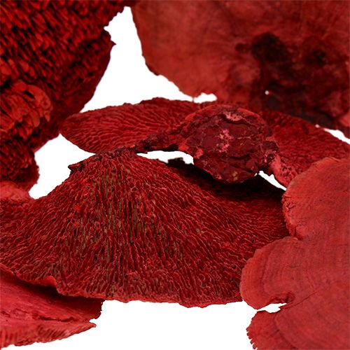 Artículo Esponja de arbol roja 1kg