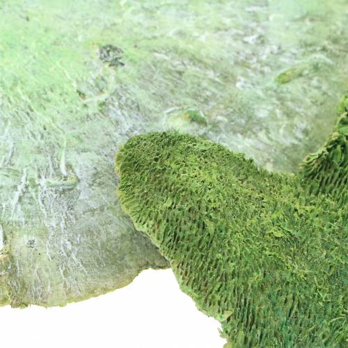Artículo Esponja de árbol verde blanqueada 1kg