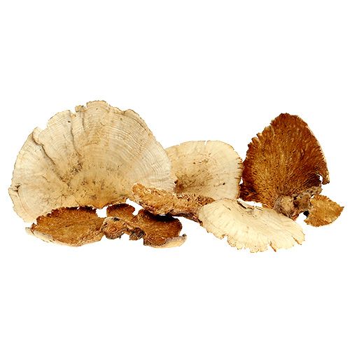 Artículo Esponja de árbol blanqueada 1kg