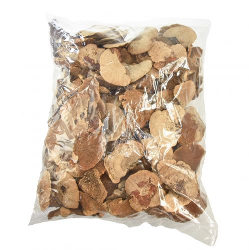 Floristik24 Esponja de árbol pequeña decoración de setas de árbol natural 4-6cm 1kg