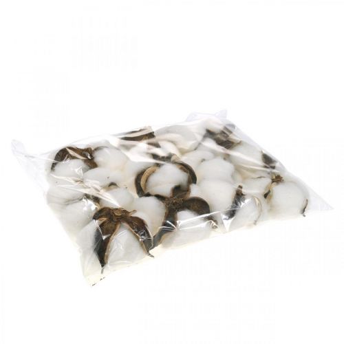 Artículo Decoración de flores de algodón decoración natural de algodón seco Ø6cm 12 piezas