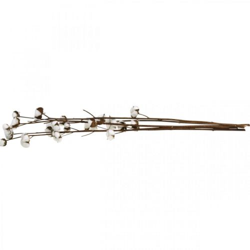 Artículo Rama de algodón, rama decorativa de algodón, algodón auténtico L80cm 5 piezas