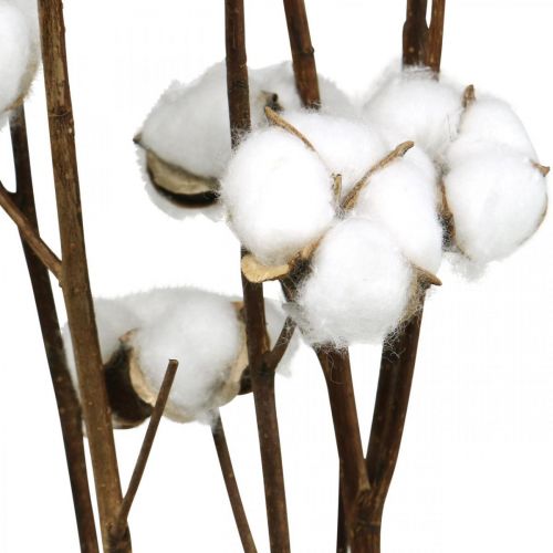 Artículo Rama de algodón, rama decorativa de algodón, algodón auténtico L80cm 5 piezas