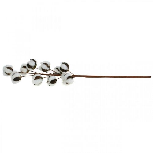 Floristik24 Rama de algodón decoración natural 10 cabezas en alambre decoración algodón 68cm