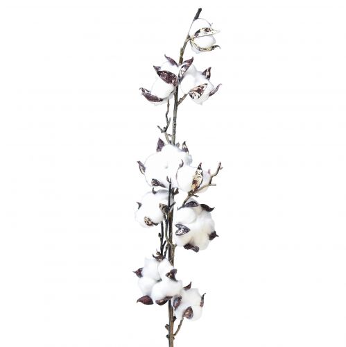 Floristik24 Rama de algodón flores de algodón artificial marrón blanco L95cm
