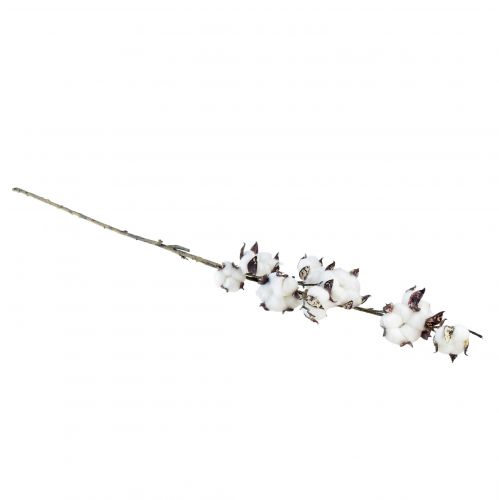 Floristik24 Rama de algodón flores de algodón artificial marrón blanco L95cm