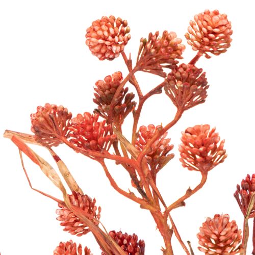Rama de bayas artificial, decoración otoñal realista, 68 cm. | Floristik24.es