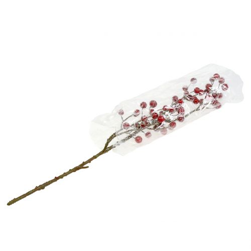 Floristik24 Rama de baya roja helada 52cm