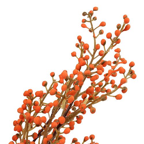 Floristik24 Rama de baya naranja L48cm 1ud