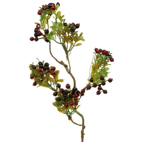 Artículo Rama de baya artificial Cotoneaster Red 50cm 2pcs