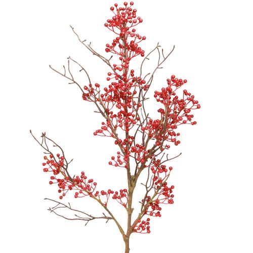 Artículo Rama de bayas bayas rojas decoración de rama otoño invierno L78cm