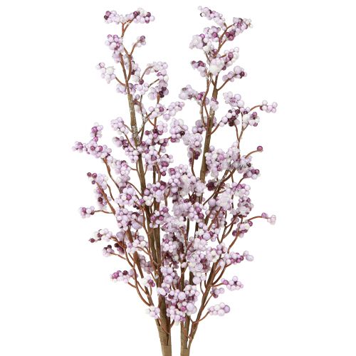 Floristik24 Rama de bayas Rama de Navidad violeta blanco escarcha L60cm 2 piezas