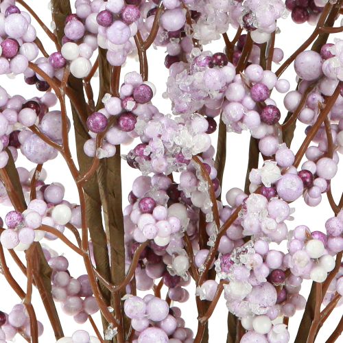 Floristik24 Rama de bayas Rama de Navidad violeta blanco escarcha L60cm 2 piezas