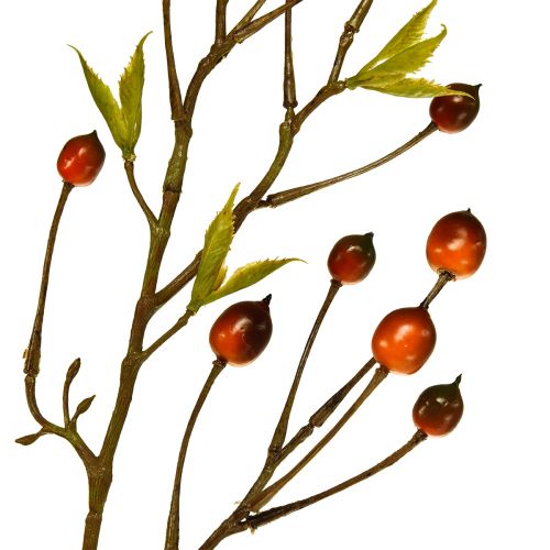 Floristik24 Rama de bayas rama artificial roja rama decorativa rama 82cm