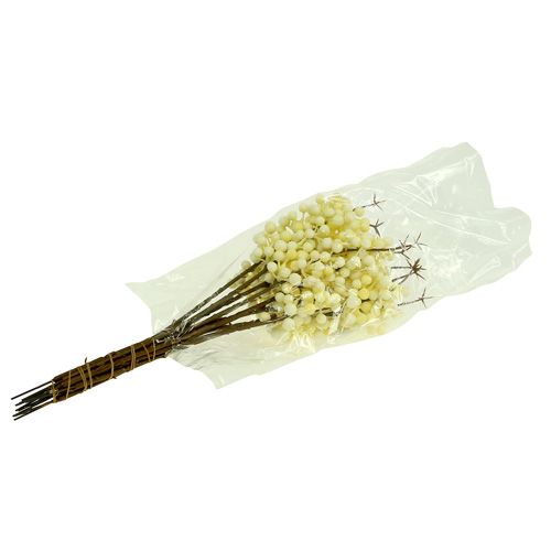 Artículo Baya rama crema L30cm 12pcs