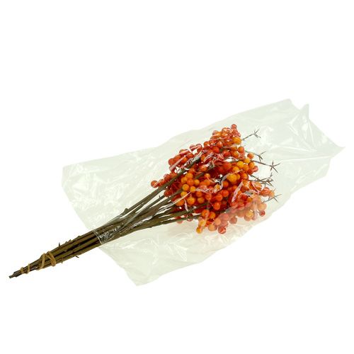 Floristik24 Rama de baya naranja L 30cm 12pcs