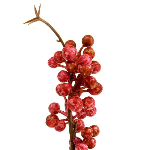 Floristik24 Rama de baya rosa L 28cm 12pcs